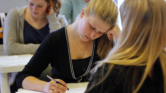Examens Haagse school per ongeluk door versnipperaar
