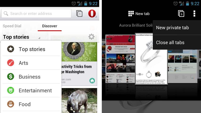 Opera browser