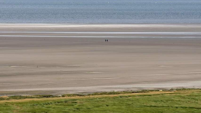 Texel