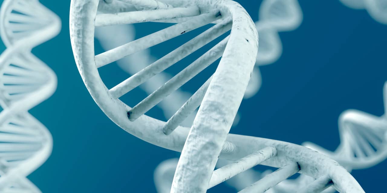 DNA: Hoe lange onzichtbare 'kettingen' bepalen hoe wij eruitzien