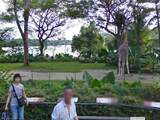 Google heeft ruim duizend nieuwe locaties toegevoegd aan Street View. Het gaat vooral om toeristische trekpleisters, historische plekken en sportstadia. Op de foto de Singapore Zoo.