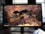 Sharp lanceerde begin juni zijn eerste IGZO-monitor met ultra hd-resolutie. Een heel nieuwe technologie voor meer helderheid, lager energieverbruik en een scherper beeld. 