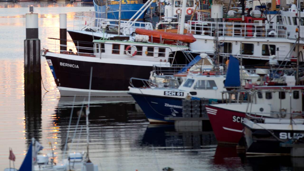 Voor Het Eerst Sinds Coronaperiode Weer Een Cruiseschip In De Haven Van ...