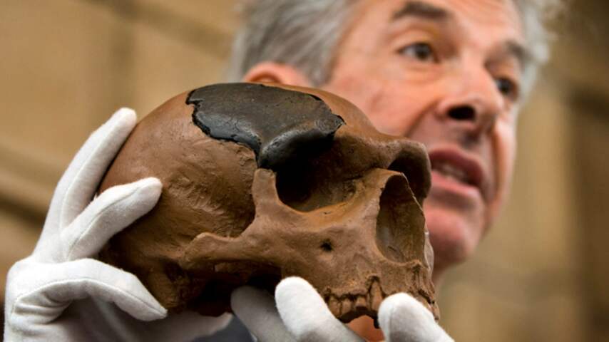 Eerste Neanderthaler
