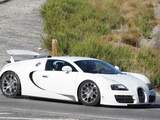 Bugatti test ultieme Veyron