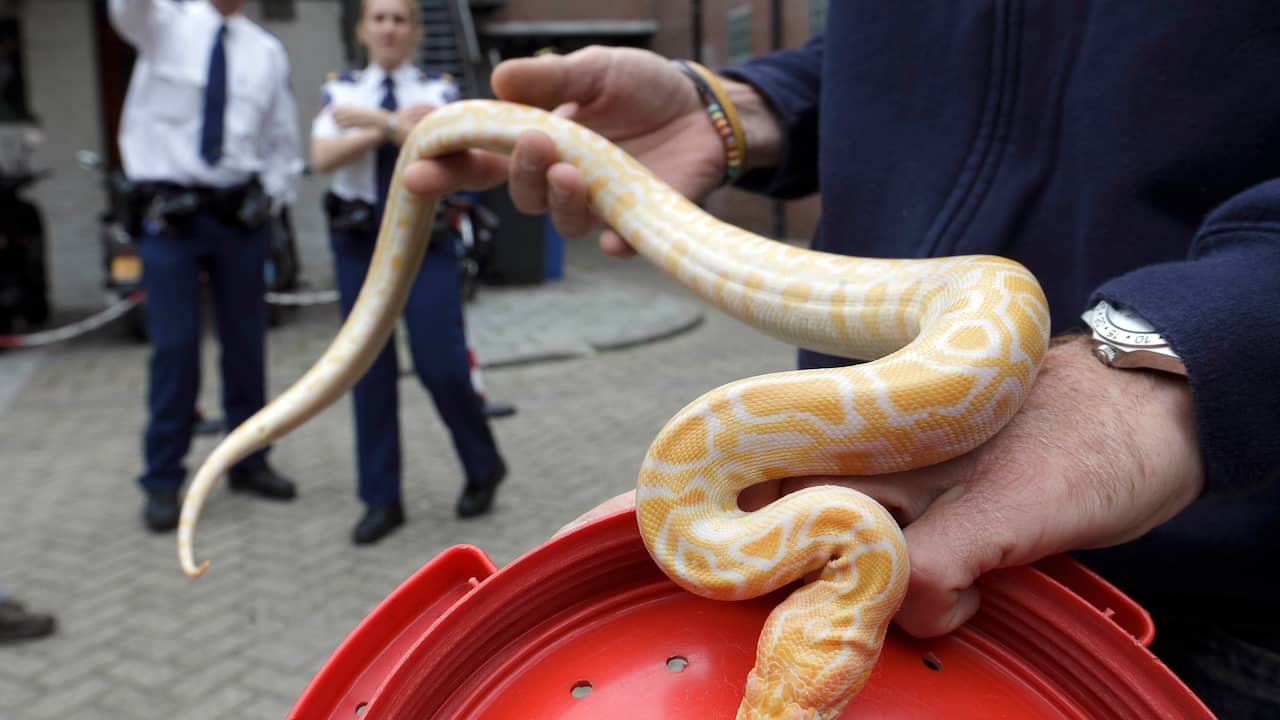 München slangen in | Opmerkelijk | NU.nl
