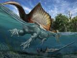 Fossielenjagers vinden botten van mogelijk grootste vleesetende dino in Europa