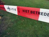 politielint, afzetting, politie