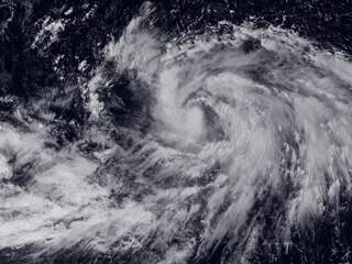 Tyfoon