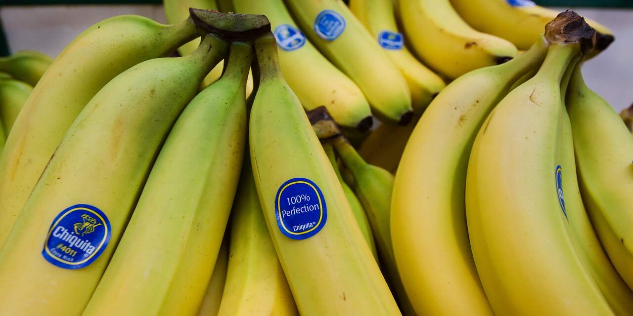 Braziliaanse bedrijven verhogen bod op Chiquita