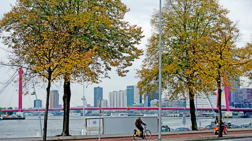  Herfstkleuren nemen langzaam de overhand in de Nederlandse natuur