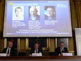 De Nobelprijs voor de Scheikunde gaat dit jaar naar de Amerikanen Eric Betzig en William E. Moerner en de in Duitsland werkende Roemeen Stefan W. Hell.
