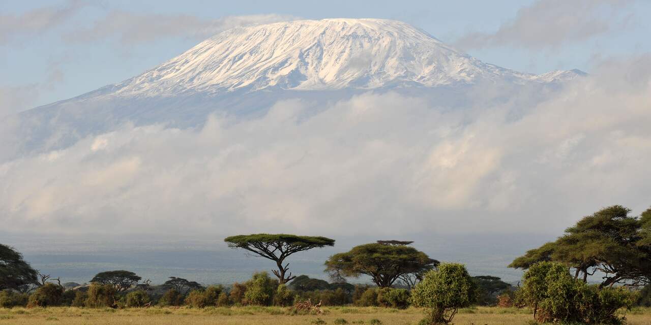 Donorexpeditie UMCG bereikt top Kilimanjaro