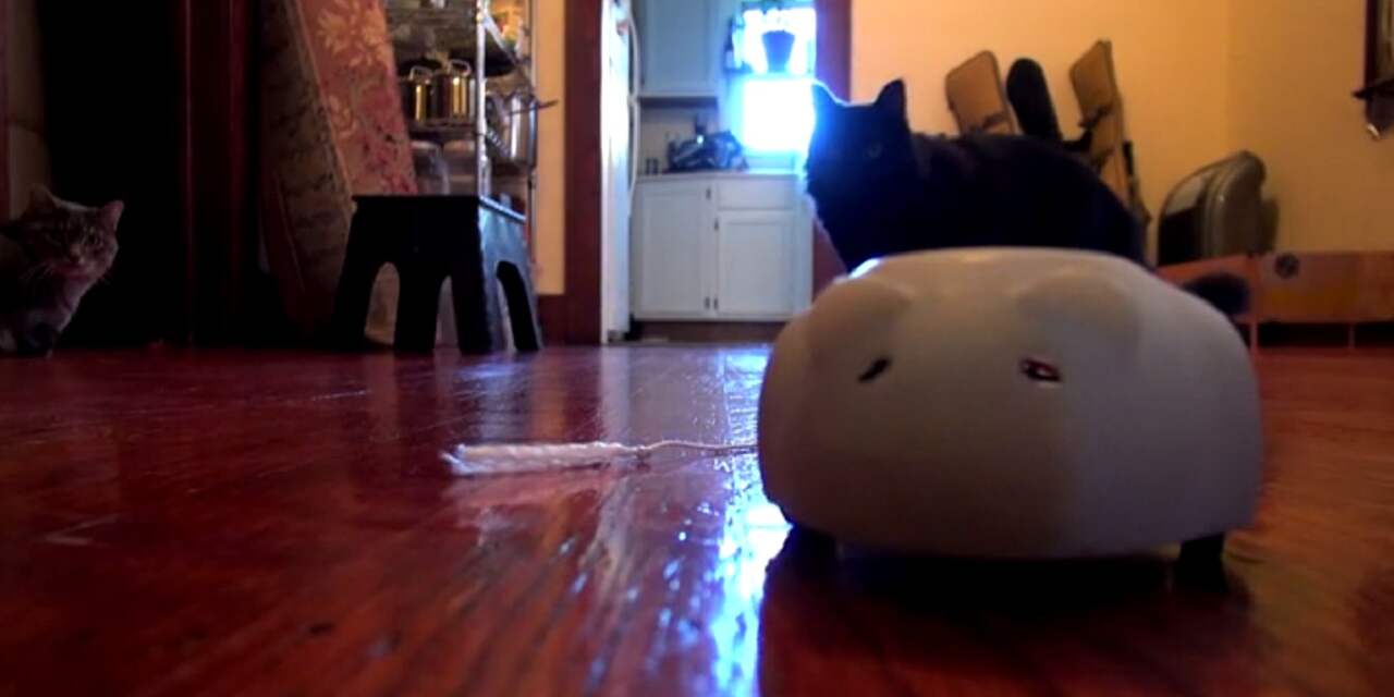 Zelflerende robotmuis reageert op bewegingen van kat