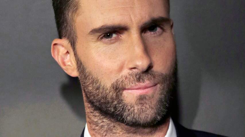 Belager Adam Levine sluit deal met justitie
