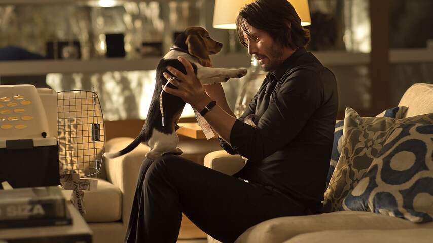 Filmrecensie: John Wick - David Leitch, Chad Stahelski | Films & Series