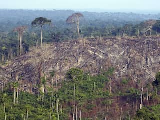Ontbossing Amazonegebied bereikt hoogste niveau in tien jaar tijd