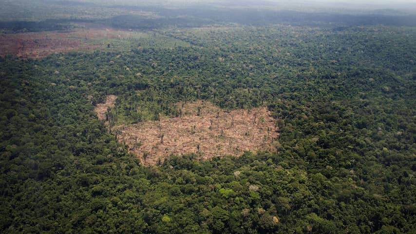 Brazilië voert nieuw systeem in tegen illegale houtkap