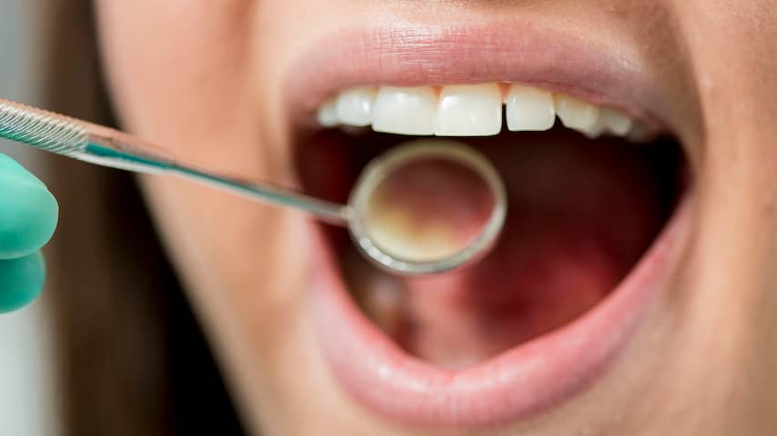 NUcheckt: Mogelijke toepassingen van stamcellen in tanden nog onbekend