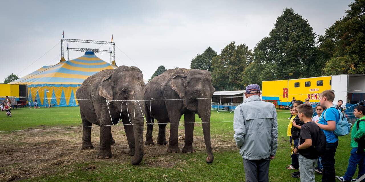 Kabinet verbiedt wilde zoogdieren in het circus