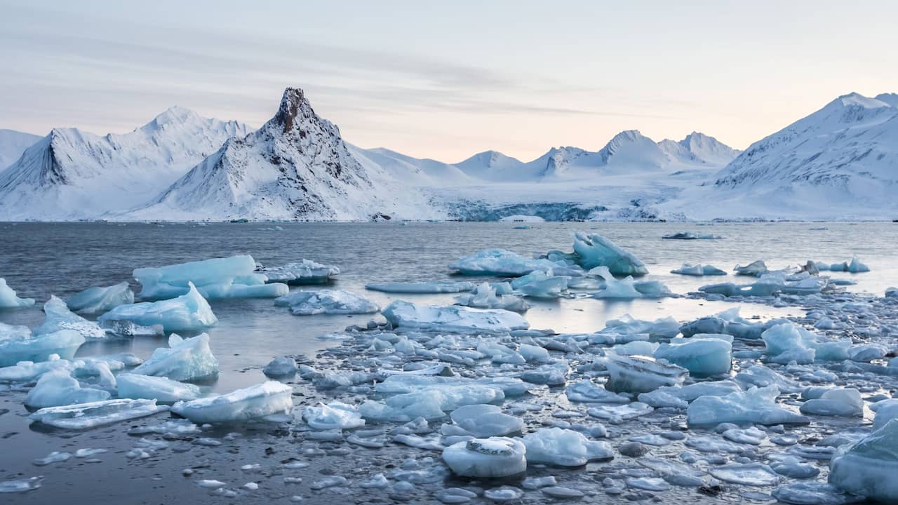 Ringlet saai blauwe vinvis Smelten zee-ijs op Noordpool niet alleen veroorzaakt door mens' |  Wetenschap | NU.nl