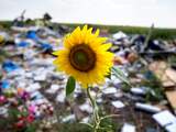 Overheid kende gevaren luchtruim Oekraïne voor ramp MH17