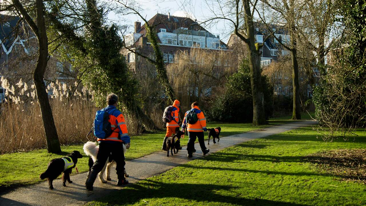 Nieuwe Zoektocht Naar Vermiste Noorse Toerist | Amsterdam | NU.nl