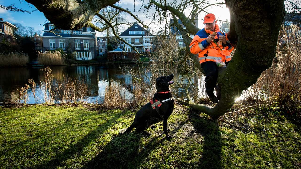 Speurhonden Slaan Aan Bij Zoektocht Naar Vermiste Noorse Toerist ...