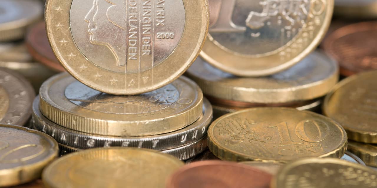 Economen zijn verdeeld over houdbaarheid euro