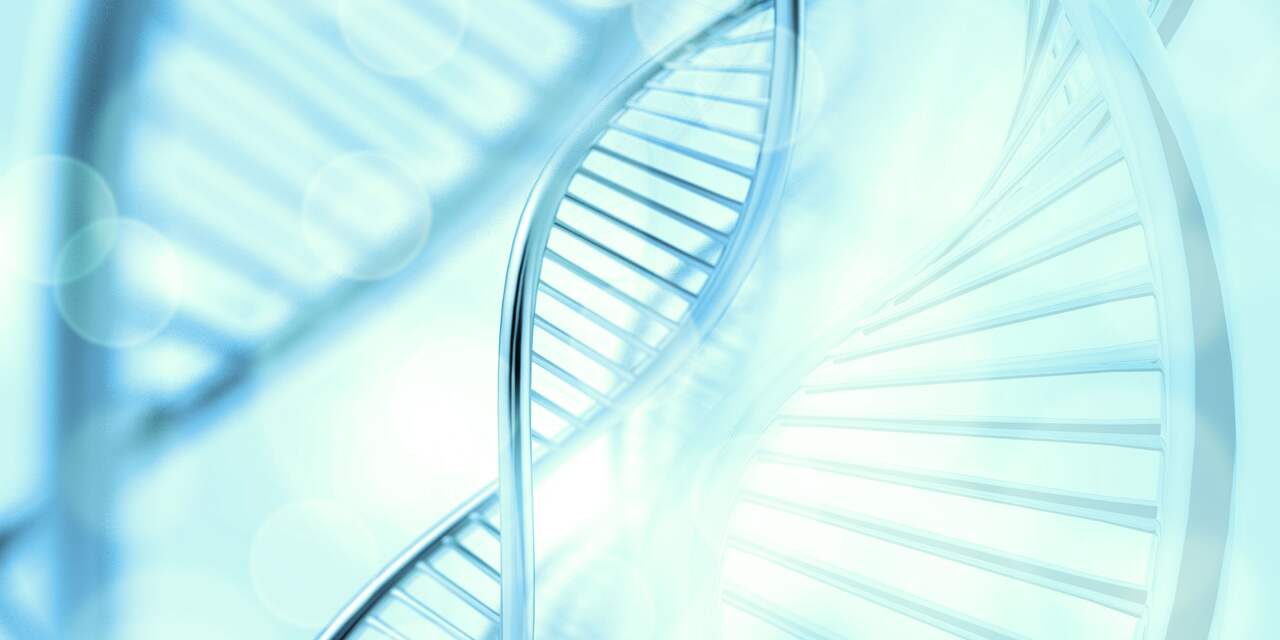 DNA afgenomen in Valkenburgse loverboyzaak