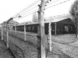 'NS verdiende 2,5 miljoen euro aan transport van joden tijdens WOII'