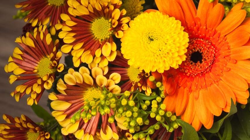 Bloemenbranche positief gestemd over moederdagverkoop
