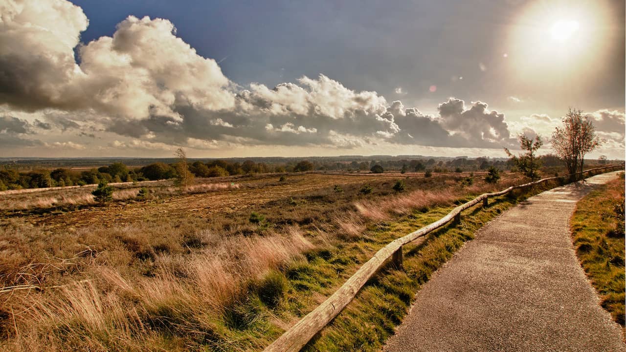 Weather forecast: Sunny day with more clouds in the evening |  Interior