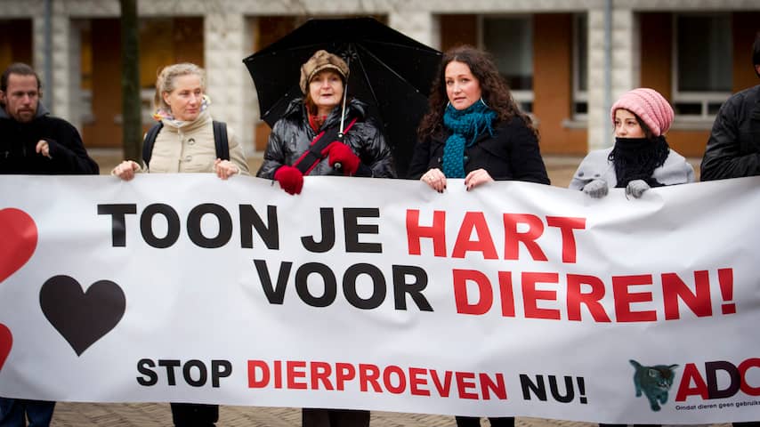 Bijna 50 procent meer honden en katten gebruikt als proefdier