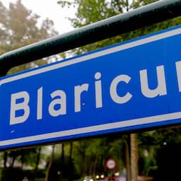 Blaricum stoot Bloemendaal van de troon als plaats met duurste woningen