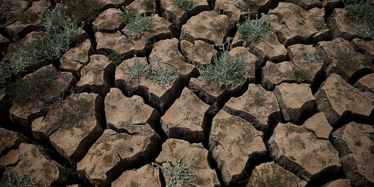 Waterbeperking voor boeren in Californië door extreme droogte