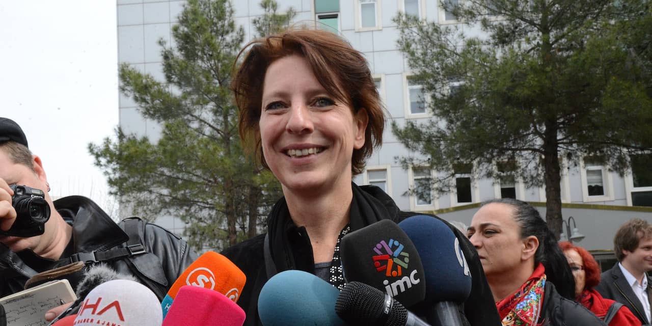 'In Turkije opgepakte journaliste Geerdink vrijgelaten'
