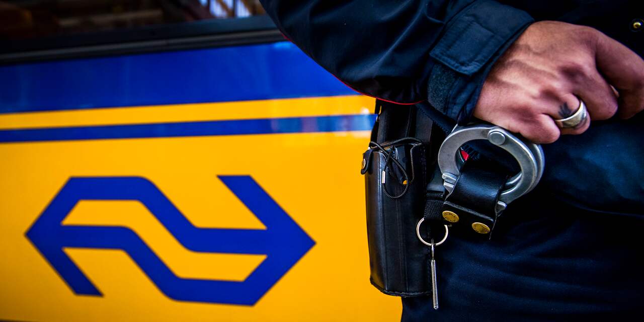 Zondag minder treinen naar Rotterdam