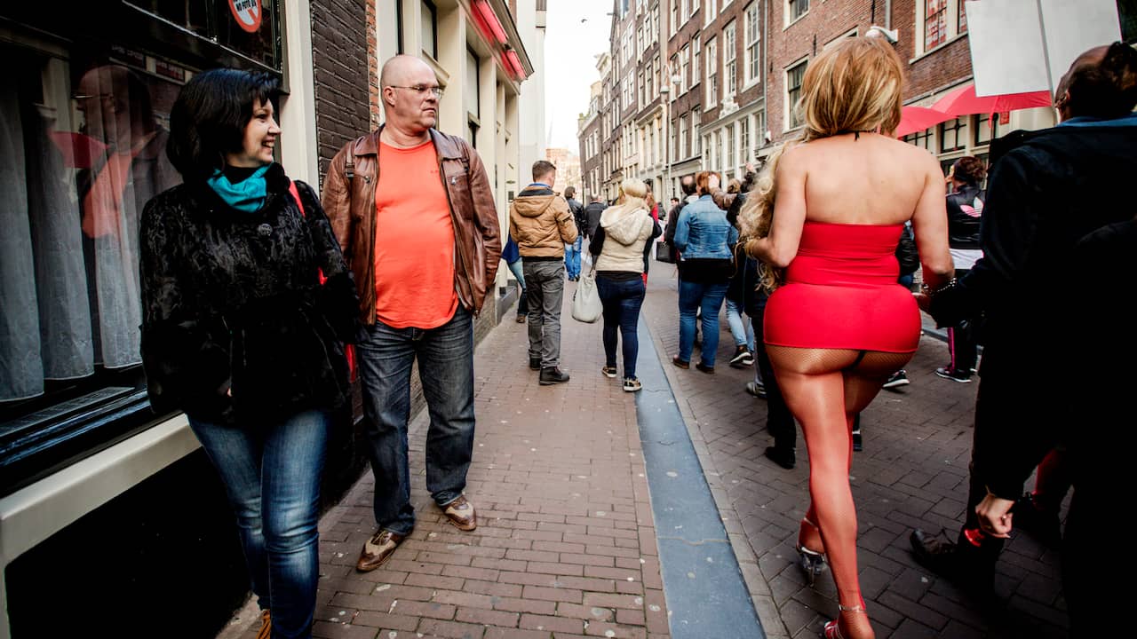 Red Light District Ticket Price, Hours, Address and Reviews