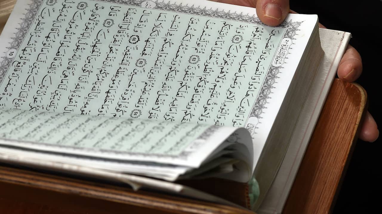 Turkey summons the Dutch ambassador after tearing up the Quran in protest |  Abroad