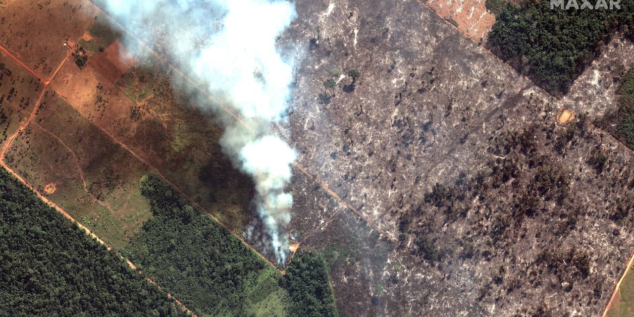 Zo beïnvloeden de Amazone-bosbranden het klimaat (en omgekeerd)