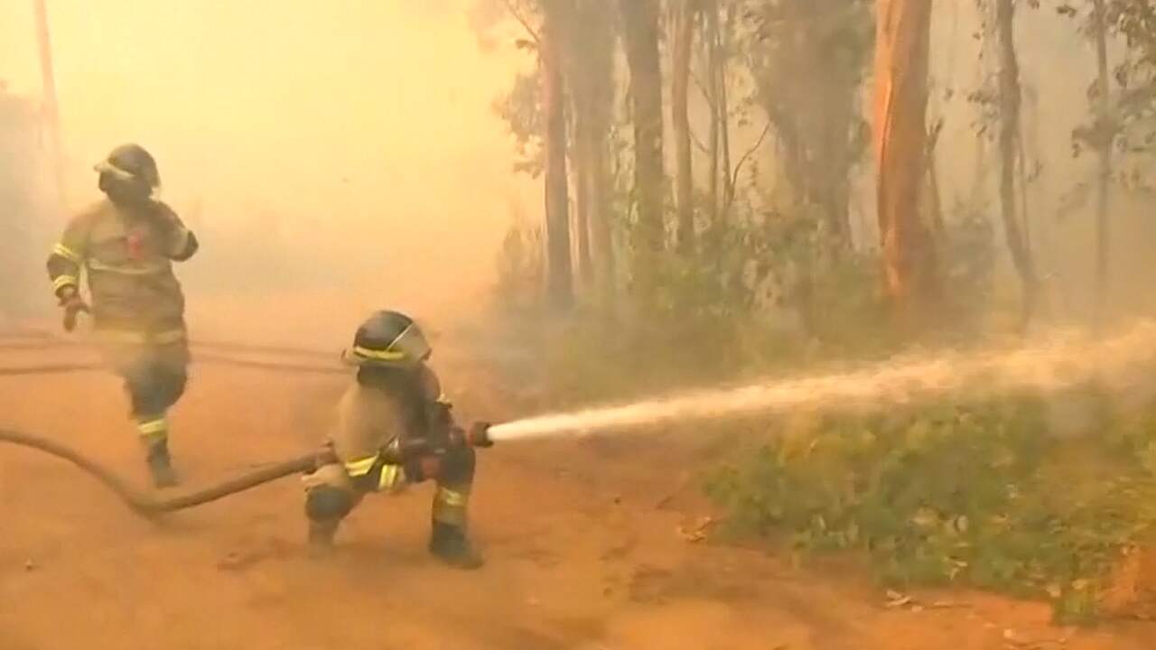Beeld uit video: Brandweer bestrijdt tientallen bosbranden in Chili