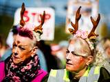 Actievoerders protesteren tegen afschieten herten in Flevoland