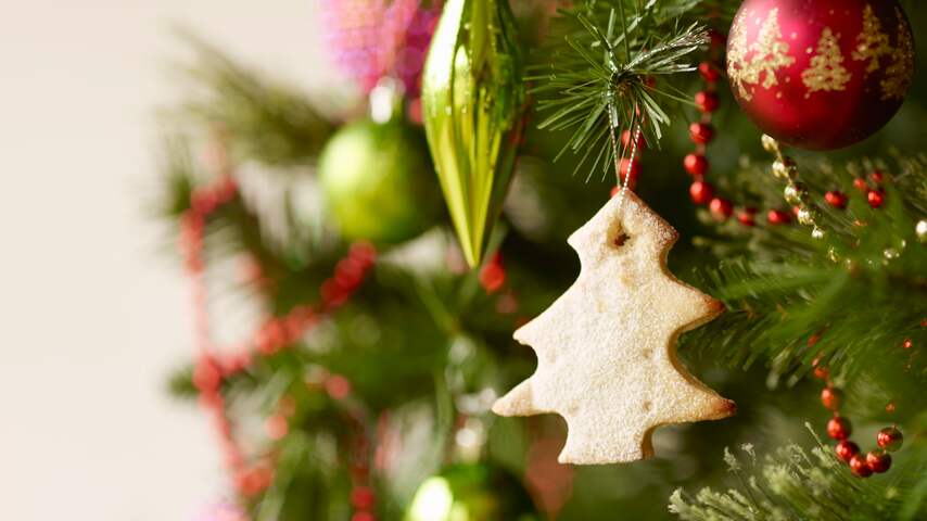 NUcheckt: Wemelt je kerstboom van het ongedierte?
