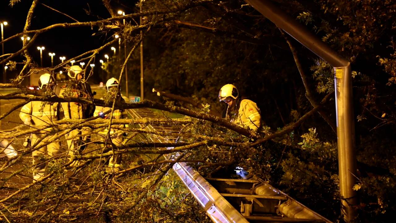Beeld uit video: Meerdere bomen op A50 omgewaaid door windhoos
