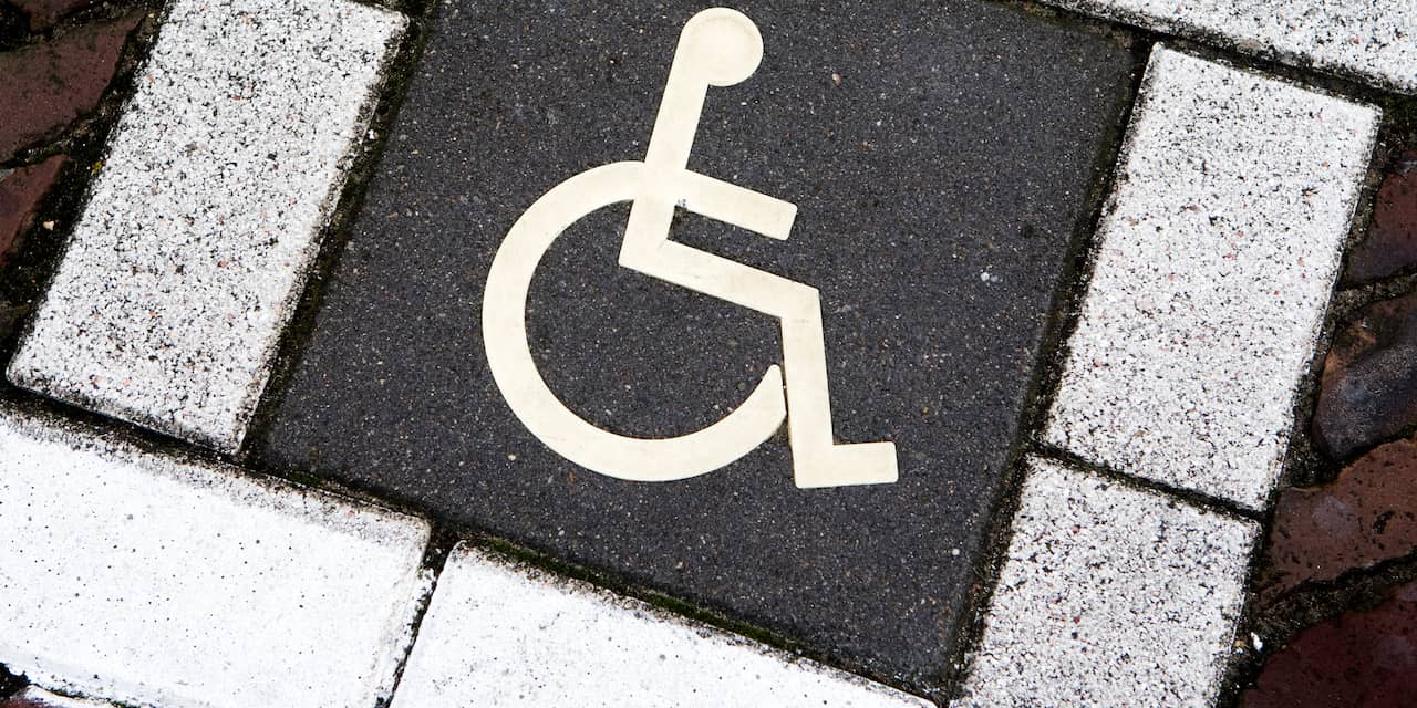 PvdA-raadslid wil apart beleid voor gehandicapten