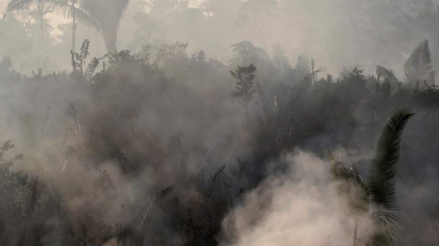 NUcheckt: Feiten en onwaarheden over de branden in de Amazone