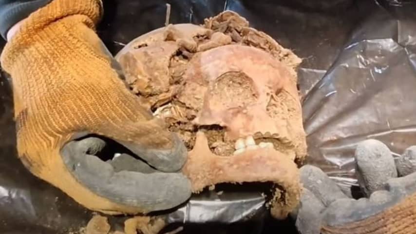 Vijf skeletten zonder handen en voeten gevonden in huis nazileider Göring