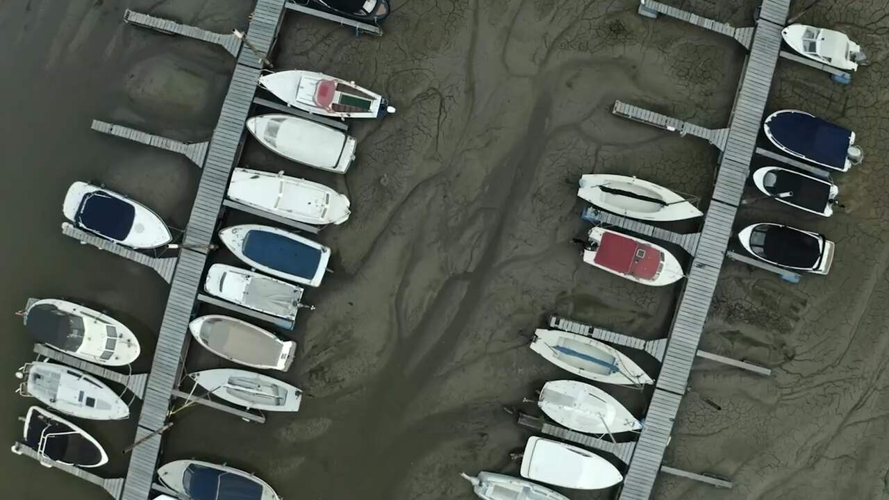 Beeld uit video: Ondiepe rivieren en dorre grasvelden: drone filmt droogte in ons land
