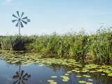 Natuur Zuid-Holland en Limburg fors onder druk, andere plekken later onderzocht